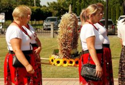Uroczystość Wniebowzięcia Najświętszej Maryi Panny – podziękowanie za tegoroczne zbiory